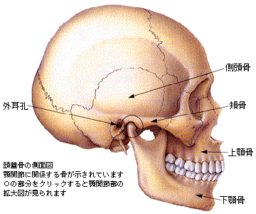 顎と顔の痛み